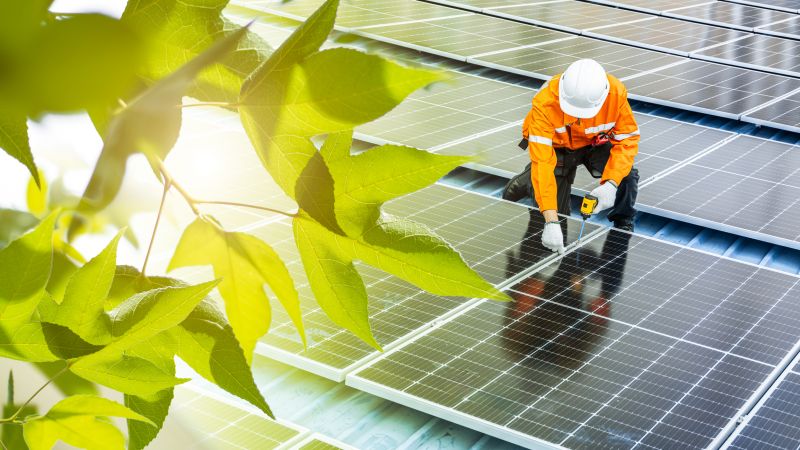 Professional Solar Service Team